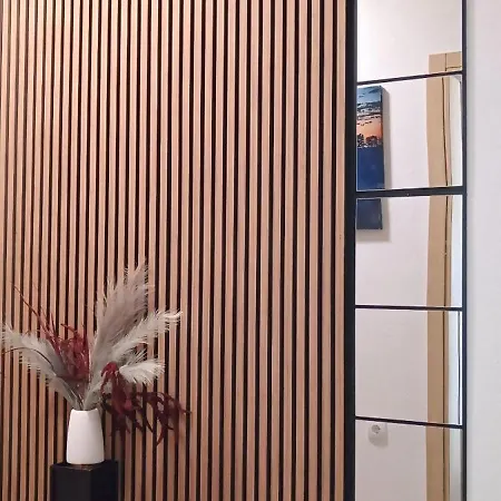 Tina Apartament Sokobanja