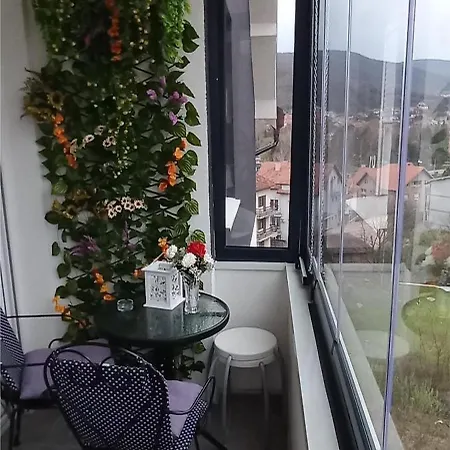 Tina , Kod Hotela Sunce